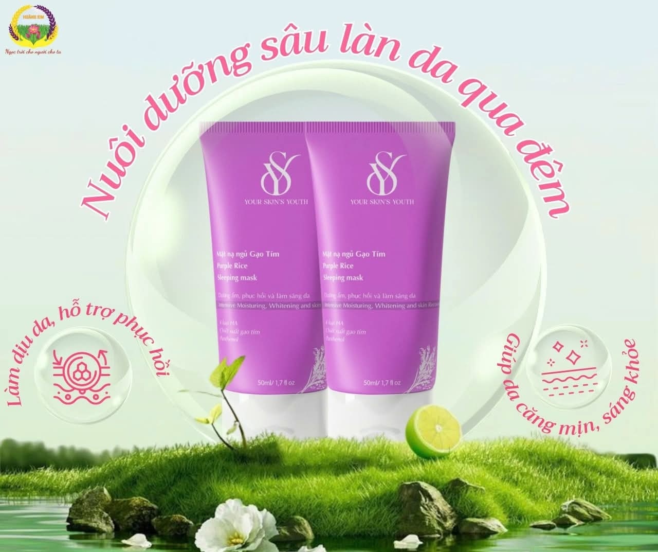 MẶT NẠ NGỦ GẠO TÍM – YOUR SKIN’S YOUTH
