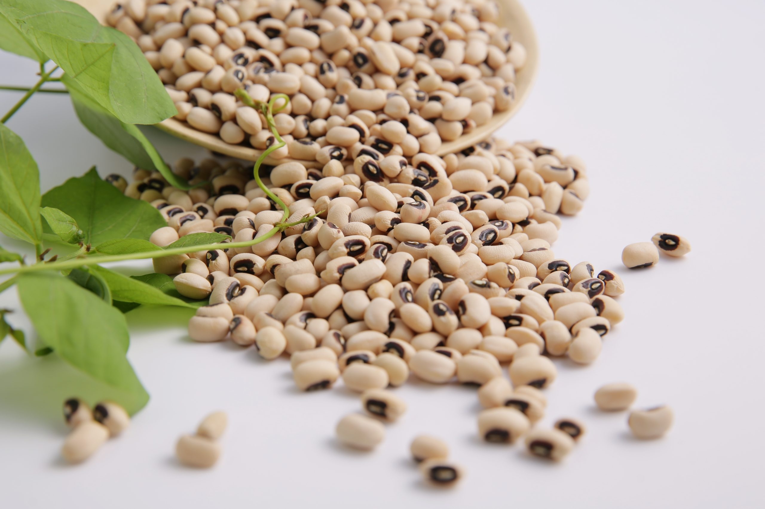 ĐẬU TRẮNG BI - TÚI 1 KG