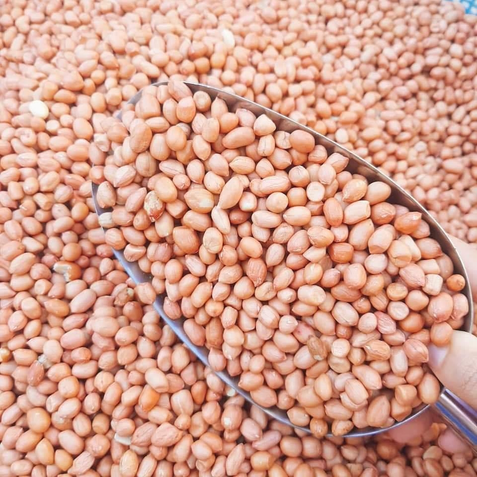 ĐẬU PHỘNG (LẠC) - TÚI 1 KG