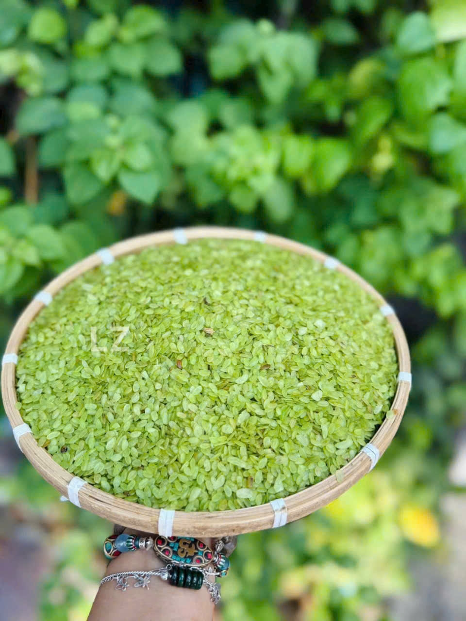 CỐM NẾP XANH-TÂY BẮC