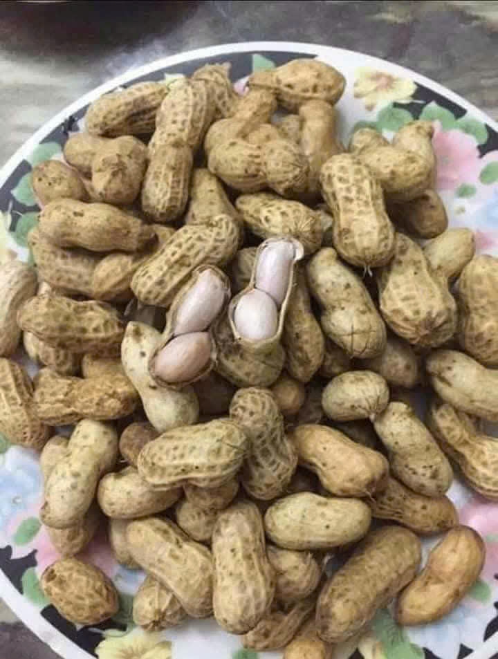 ĐẬU PHỘNG TƯƠI