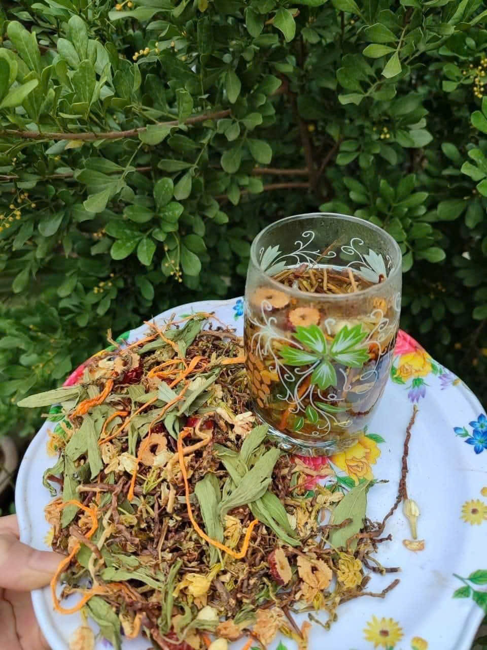 TRÀ SƠN MẬT HỒNG SÂM-ĐÔNG TRÙNG-TÁO ĐỎ