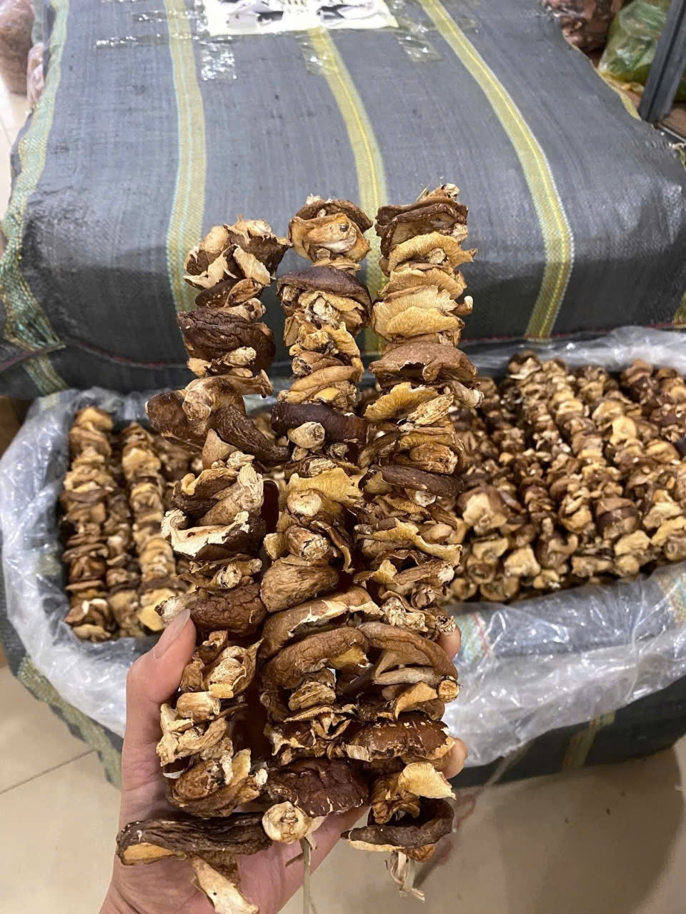 NẤM ĐÔNG CÔ XIÊN QUE