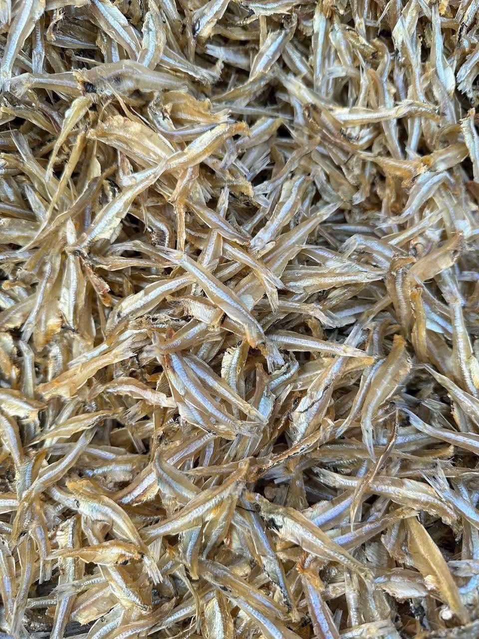 CÁ CƠM PHƠI KHÔ 500gram