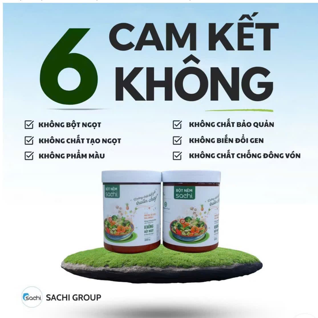 BỘT NÊM SACHI THUẦN CHAY 350GR ảnh 2