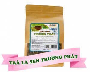 TRÀ LÁ SEN TÚI LỌC  ảnh 2