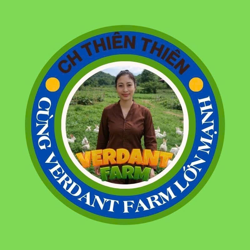 THÁI NGÔ ÁNH NHƯ