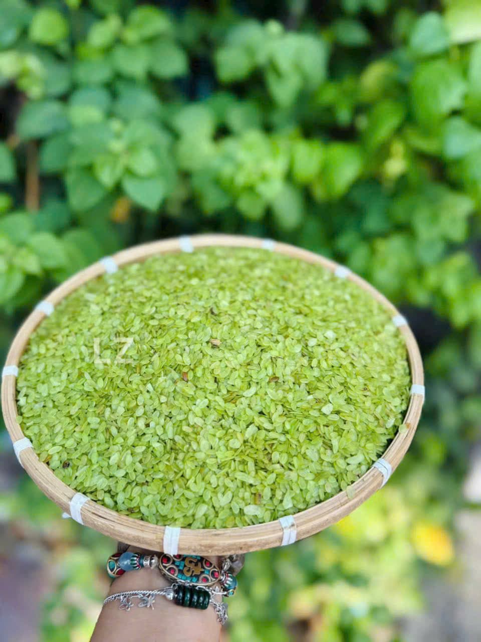 CỐM NẾP XANH-TÂY BẮC