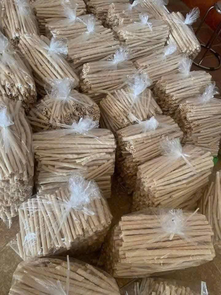 BỎNG NGŨ CỐC ảnh 3