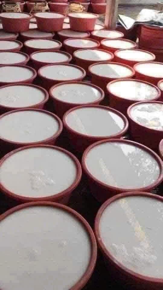 BỘT SẮN DÂY ảnh 3