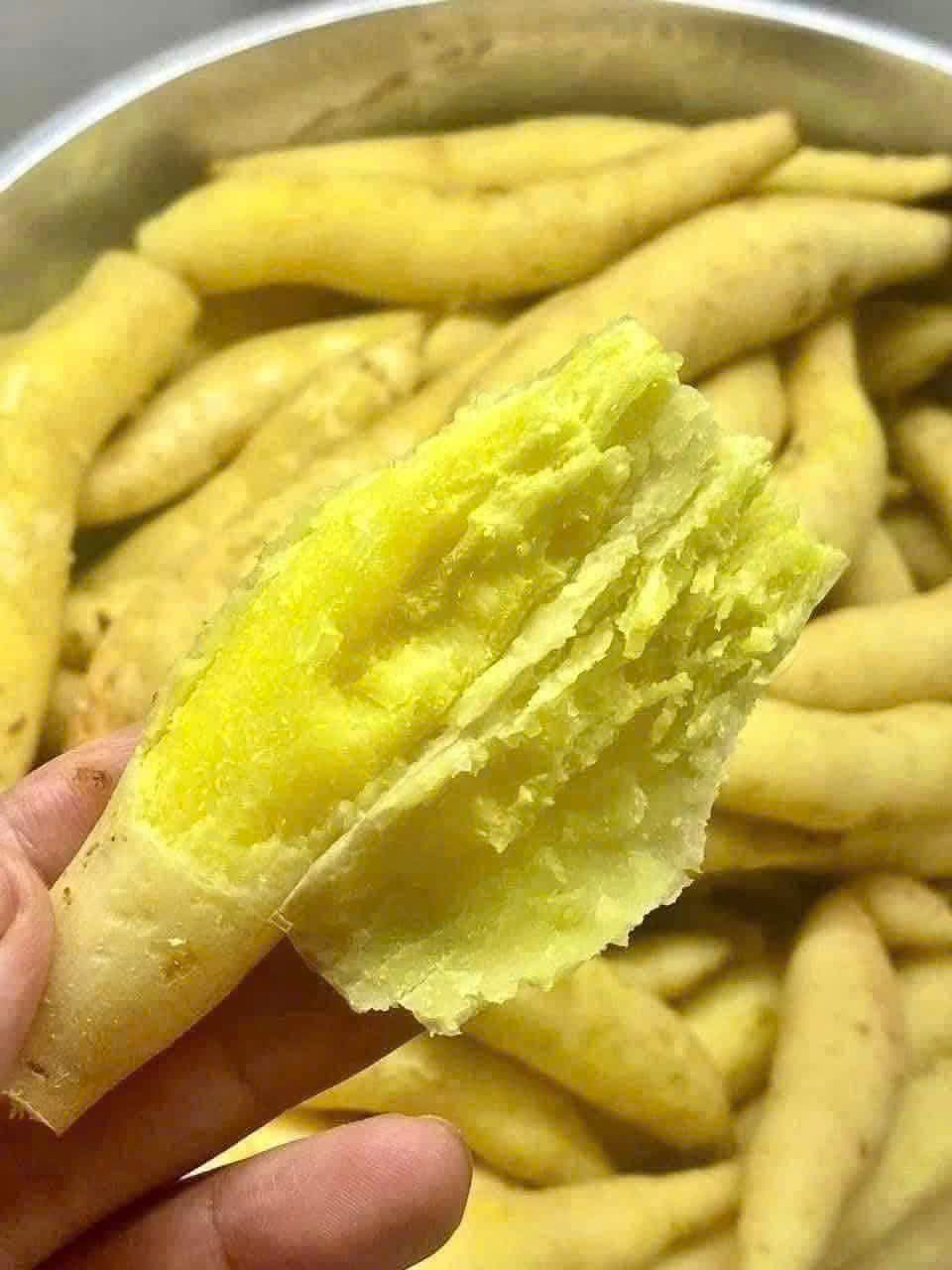 COMBO-2KG KHOAI LANG TRẮNG THÁI