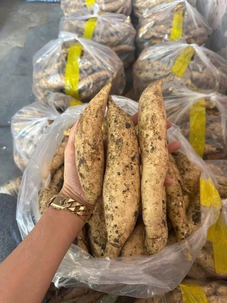 COMBO-2KG KHOAI LANG TRẮNG THÁI ảnh 4