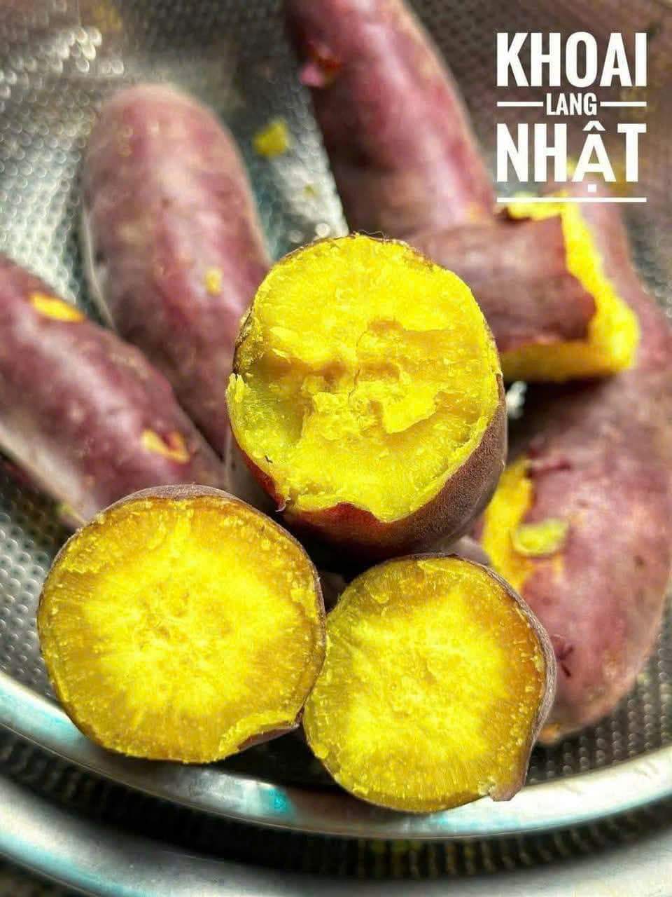 KHOAI LANG NHẬT ảnh 2