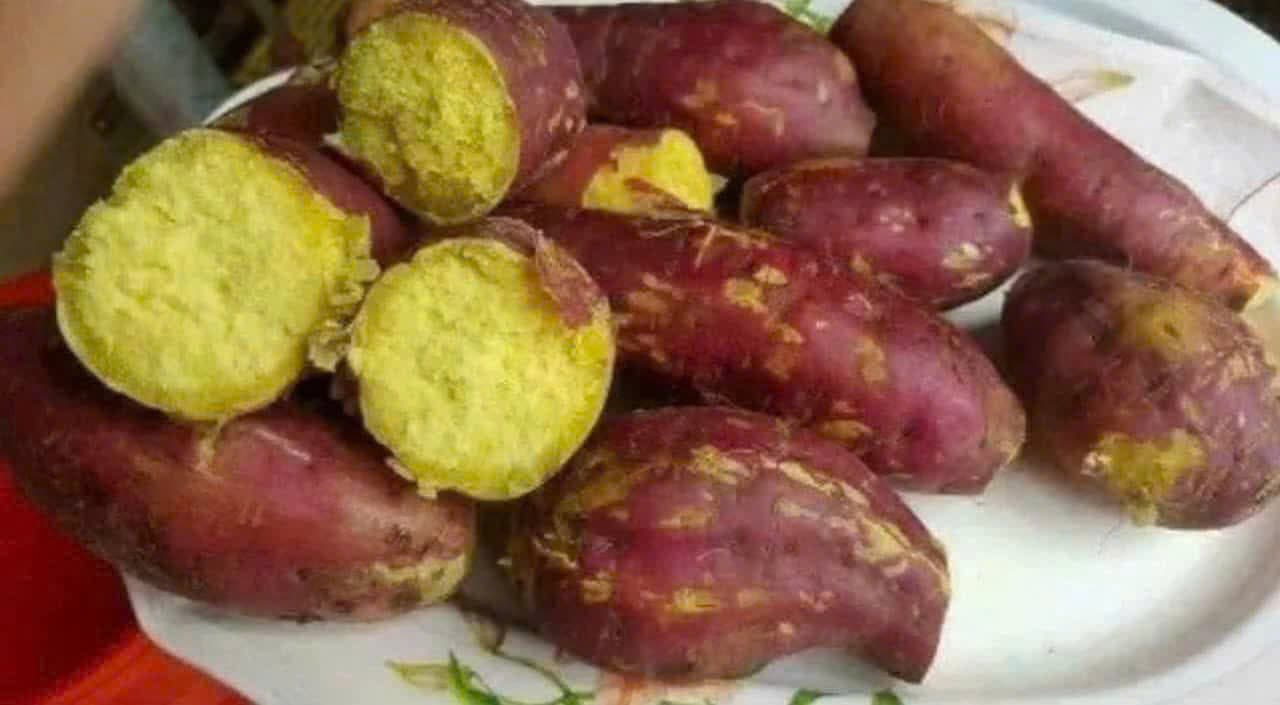 KHOAI LANG NHẬT ảnh 3