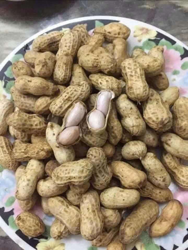 ĐẬU PHỘNG TƯƠI