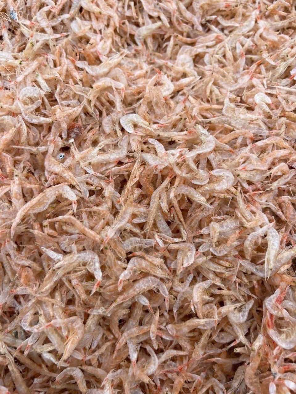 Moi khô - 500g ảnh 2