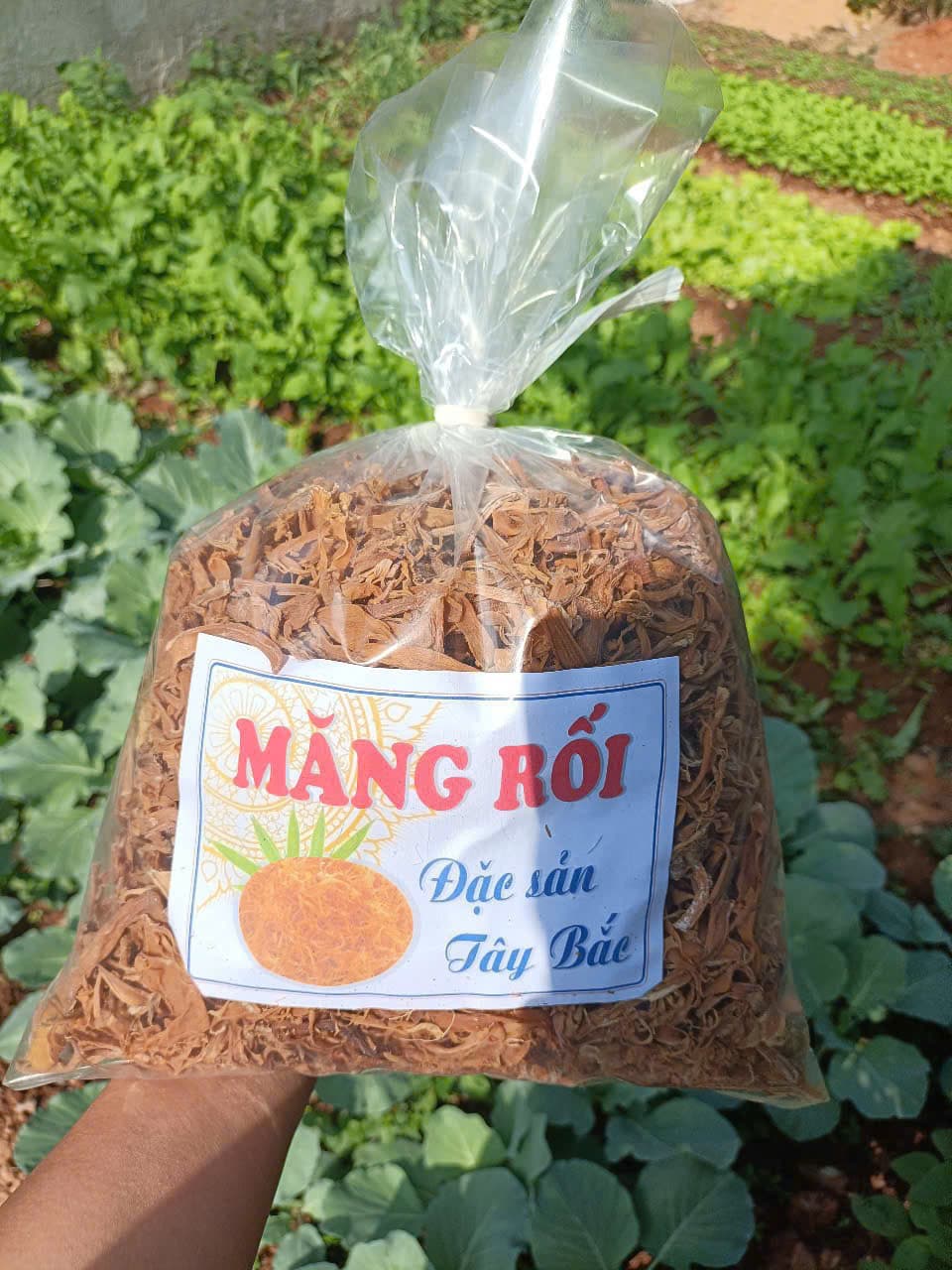 MĂNG RỐI-TÂY BẮC