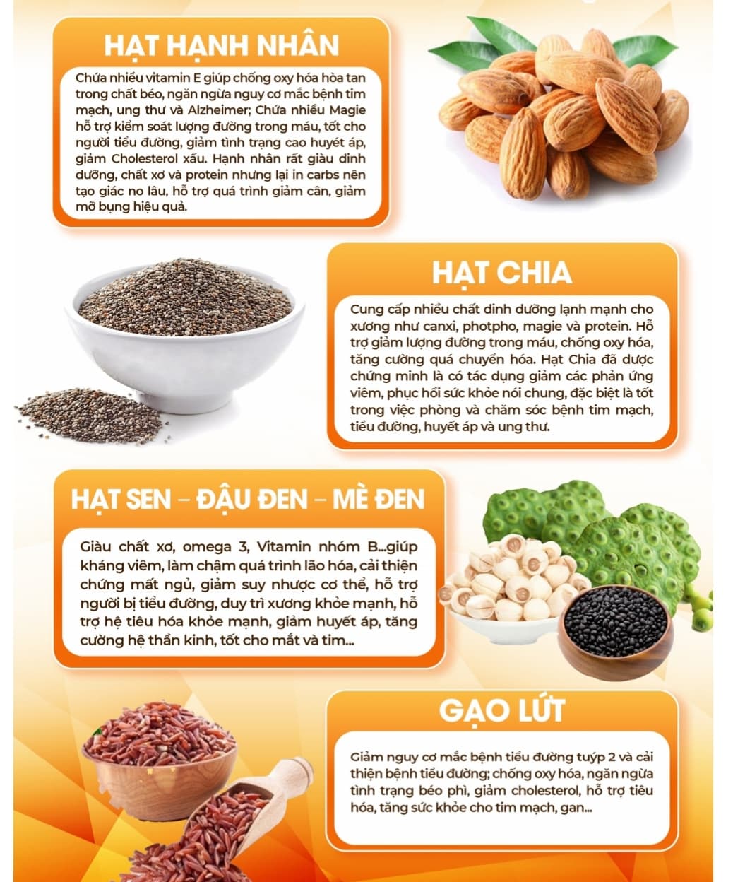 SỮA HẠT MỘC MAI  ảnh 5