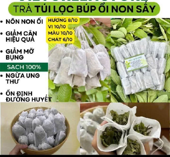 🍎TRÀ BÚP ỔI TÚI LỌC- 100% TỰ NHIÊN🍎