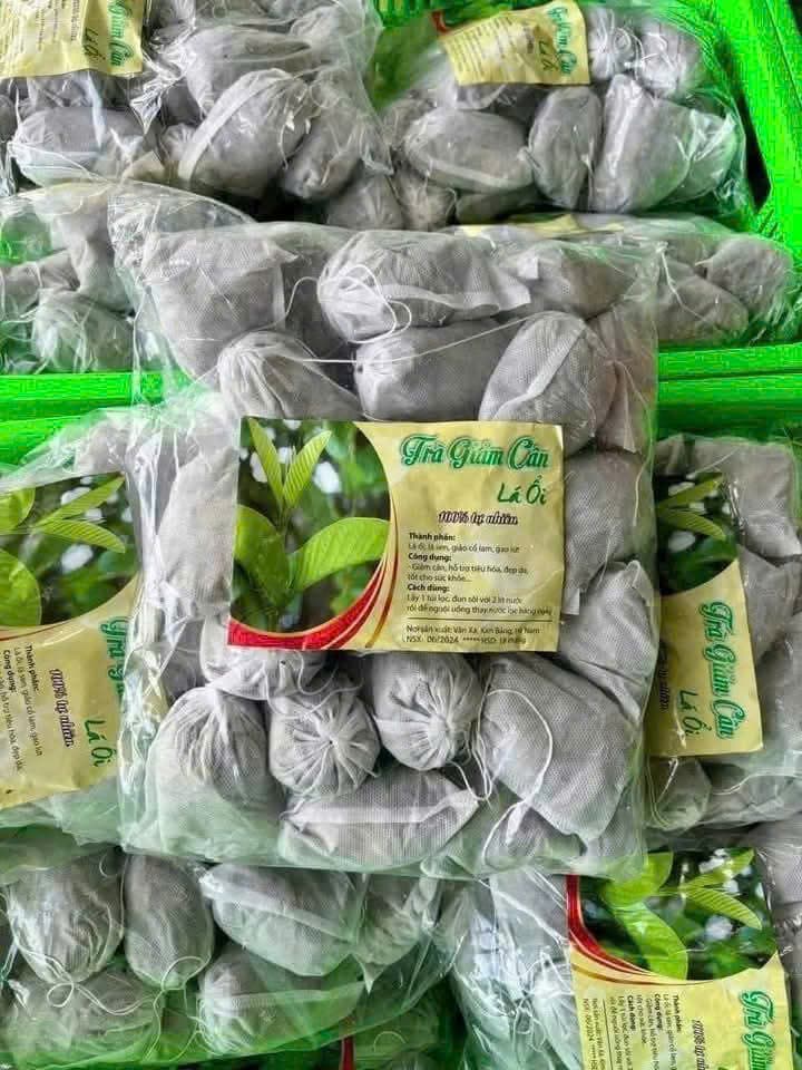 🍎TRÀ BÚP ỔI TÚI LỌC- 100% TỰ NHIÊN🍎 ảnh 3