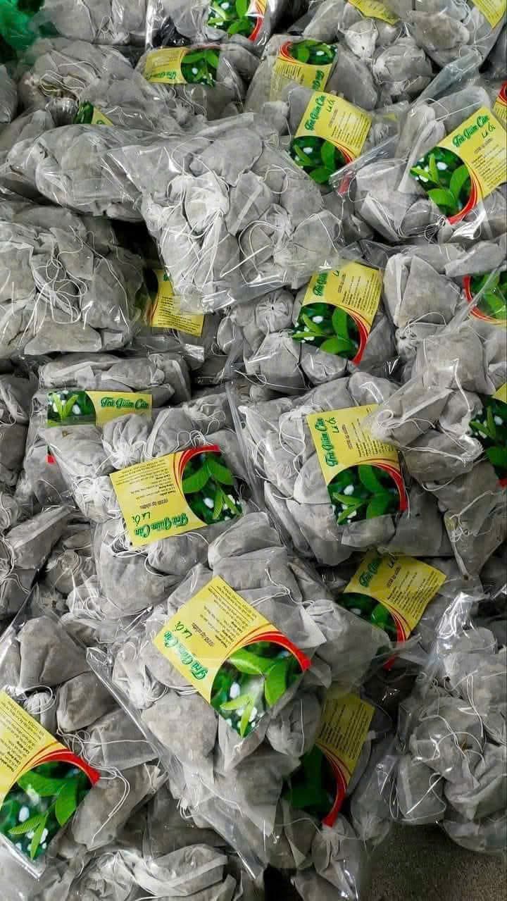 🍎TRÀ BÚP ỔI TÚI LỌC- 100% TỰ NHIÊN🍎 ảnh 4