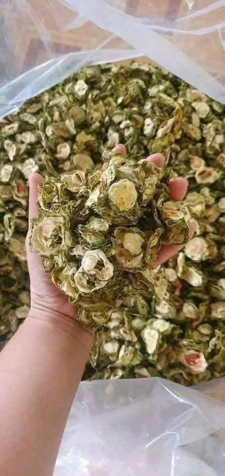 TRÀ KHỔ HOA RỪNG-MƯỚP ĐẮNG SẤY KHÔ-100% TỰ NHIÊN ảnh 3