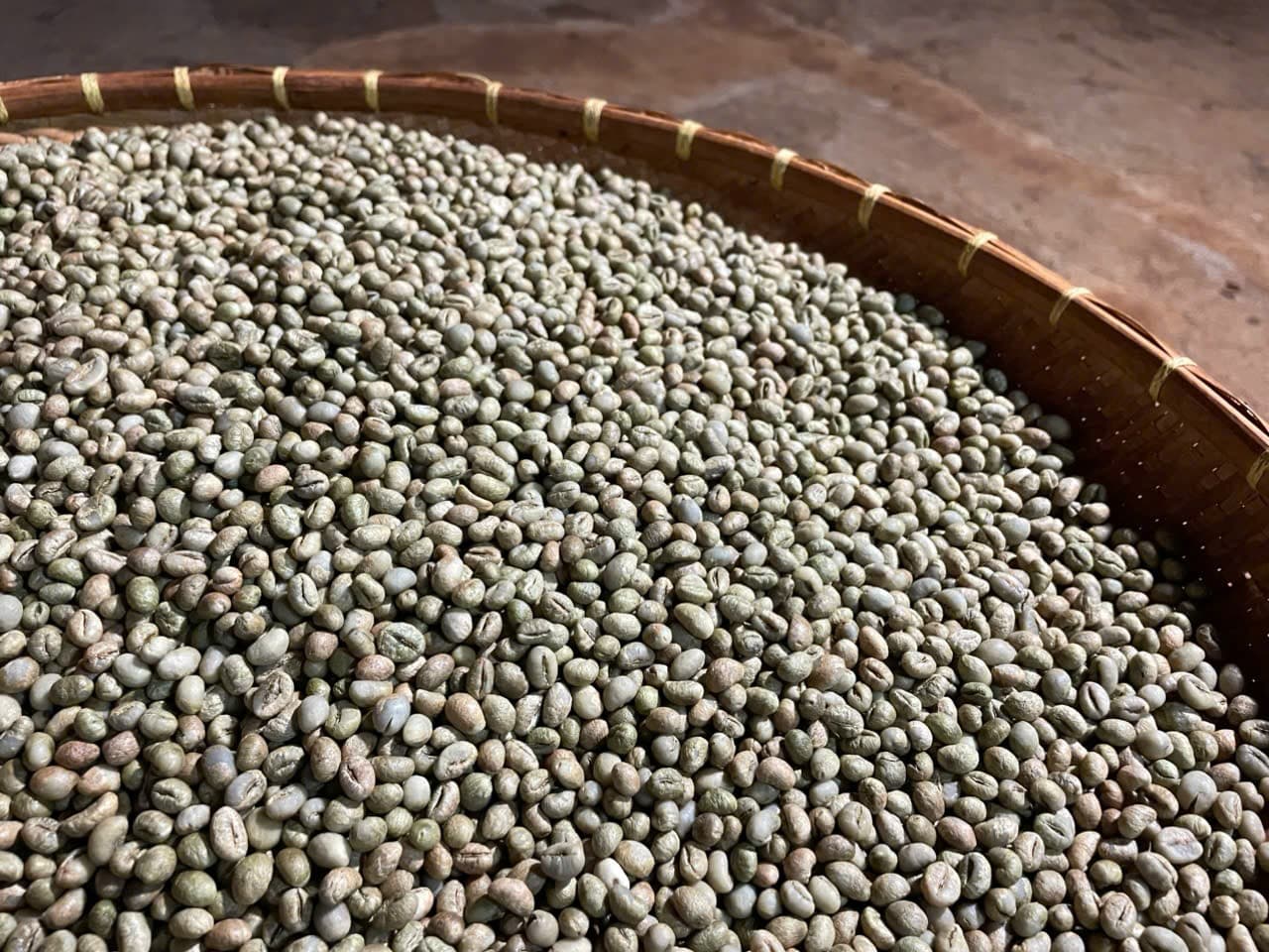 CAFE SẠCH JRAI - ROBUSTA HONEY 1 - NGUYÊN HẠT   ảnh 9