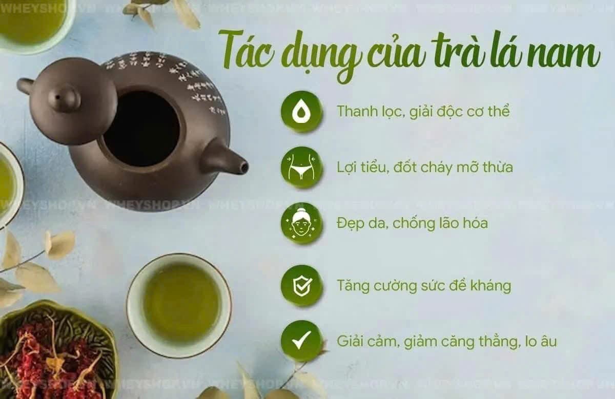 Trà 12 vị thanh lọc(L) ảnh 2