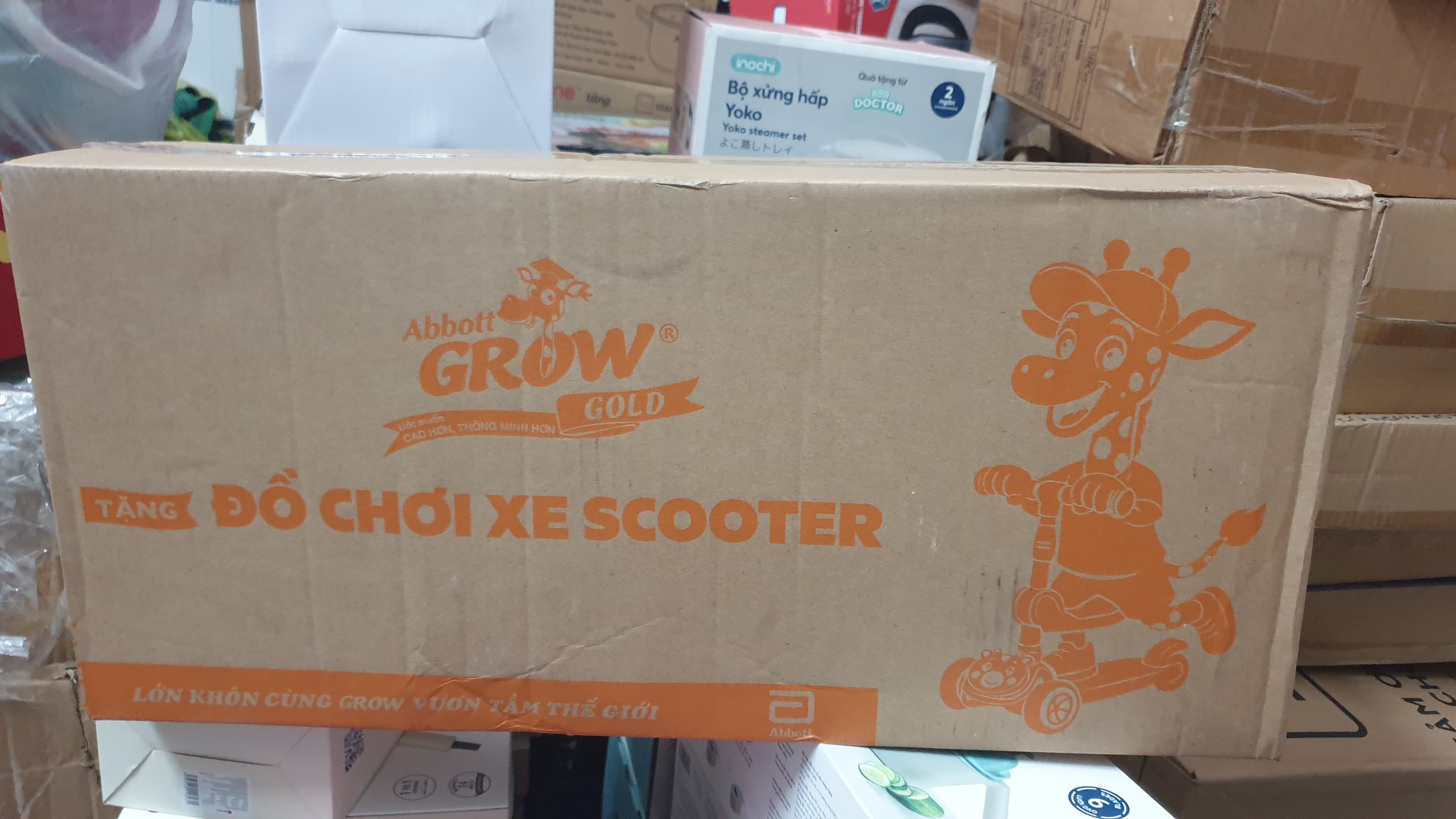 XE TRƯỢT SCOOTER ĐA NĂNG ảnh 2