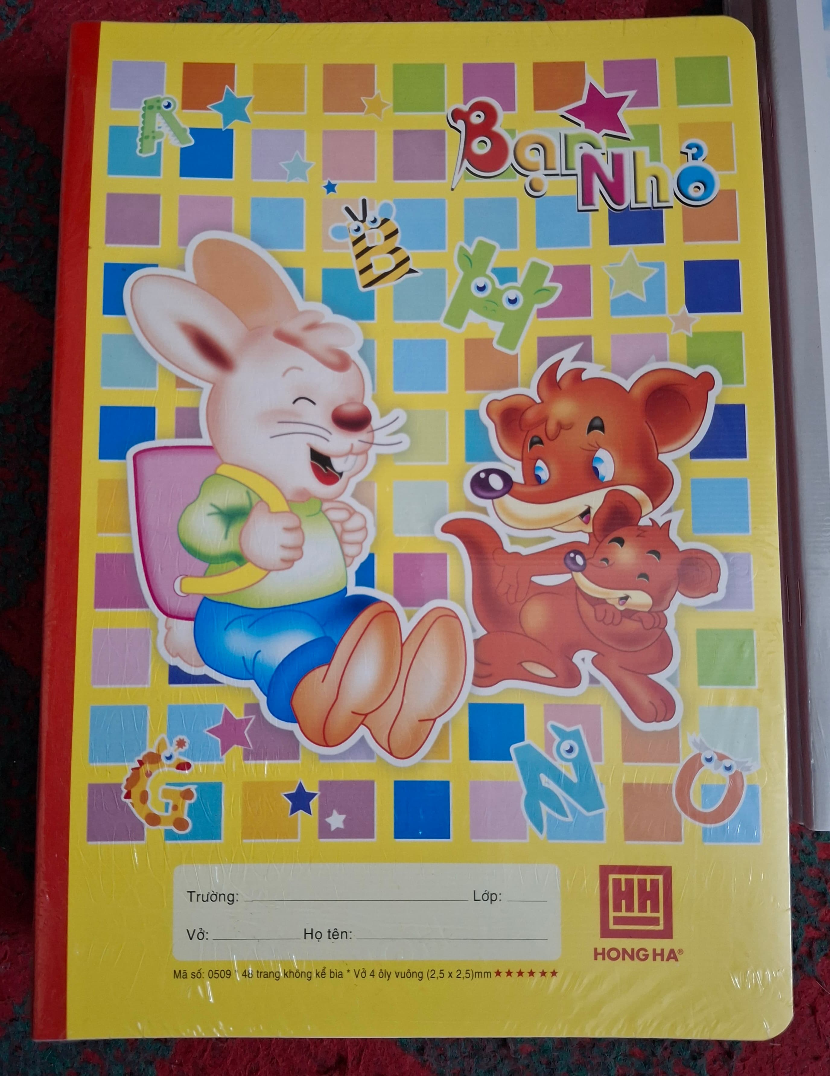 Lốc 10 quyển Hồng Hà 48 trang ô li