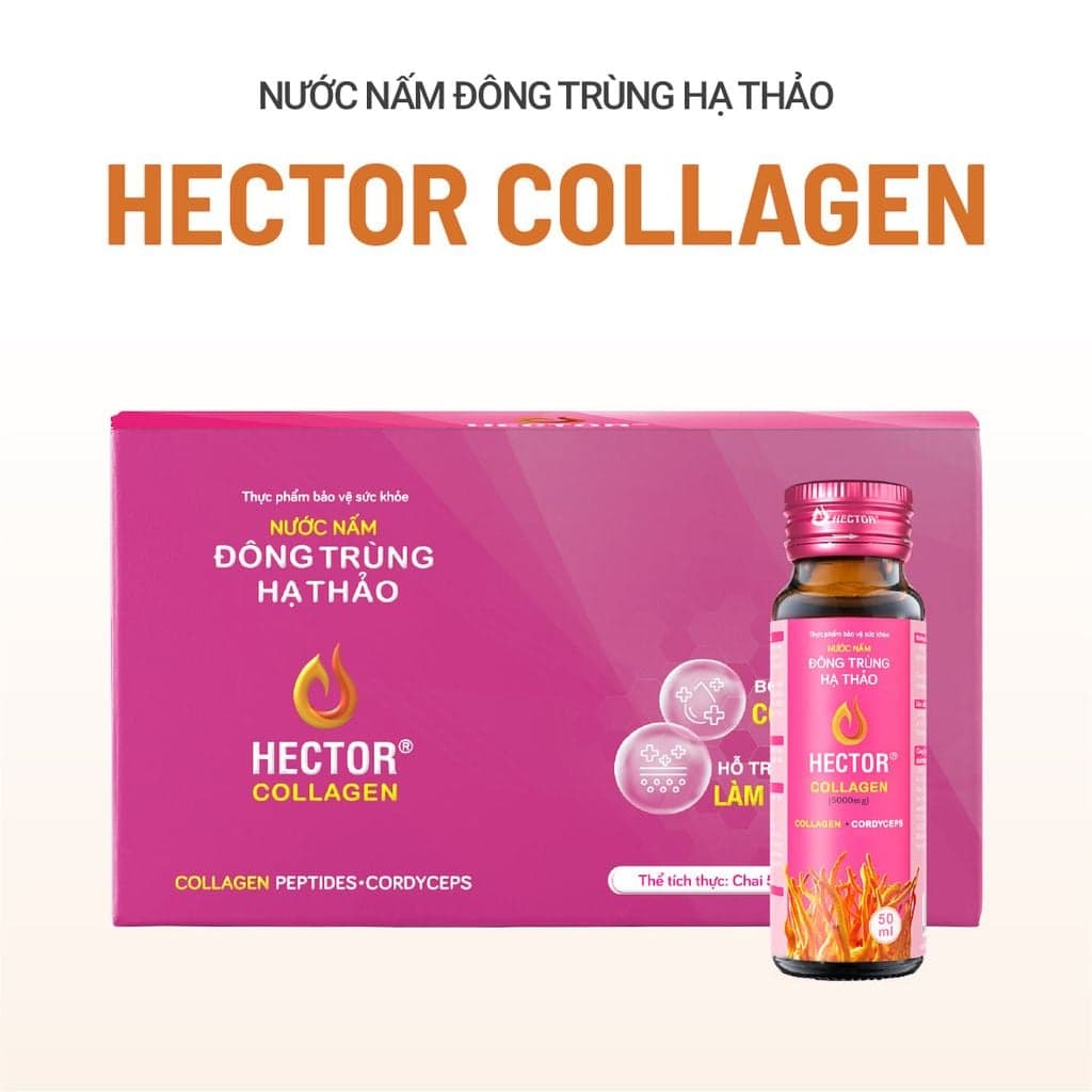 HECTOR COLLAGEN - Nước uống Đông Trùng Hạ Thảo ảnh 3