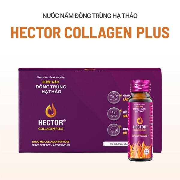 HECTOR COLLAGEN PLUS - Nước uống Đông Trùng Hạ Thảo ảnh 3