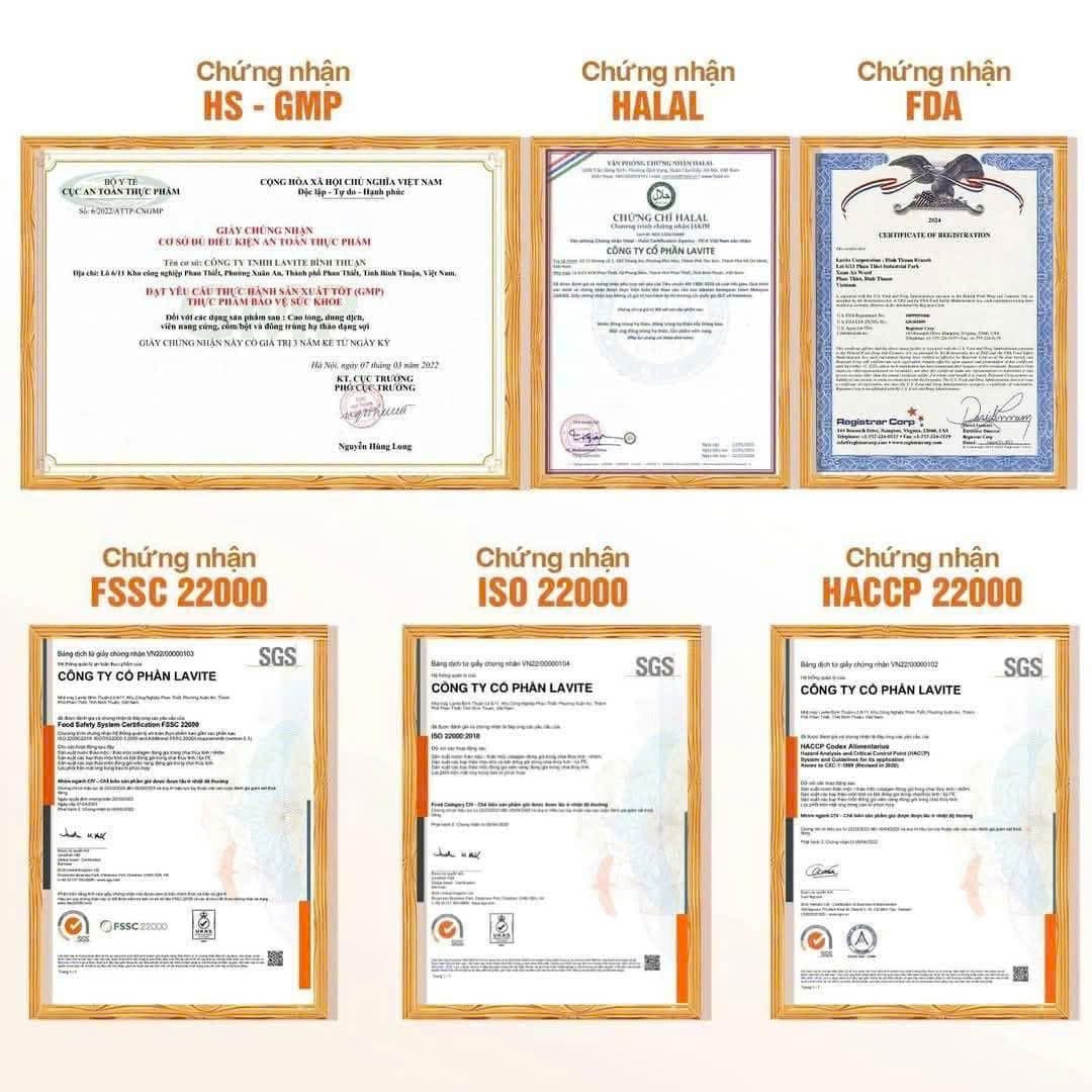 HECTOR COLLAGEN PLUS - Nước uống Đông Trùng Hạ Thảo ảnh 4