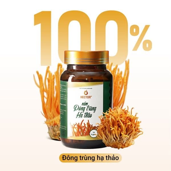 HECTOR Nấm Đông Trùng Hạ Thảo Sấy Thăng Hoa