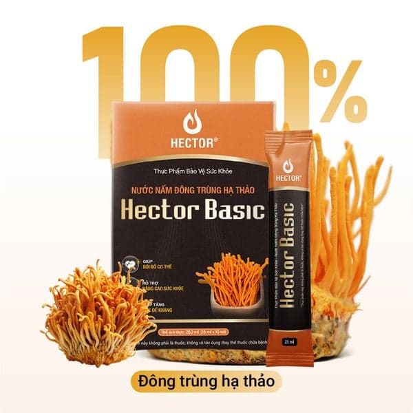 HECTOR BASIC - Nước Nấm Đông Trùng Hạ Thảo ảnh 2