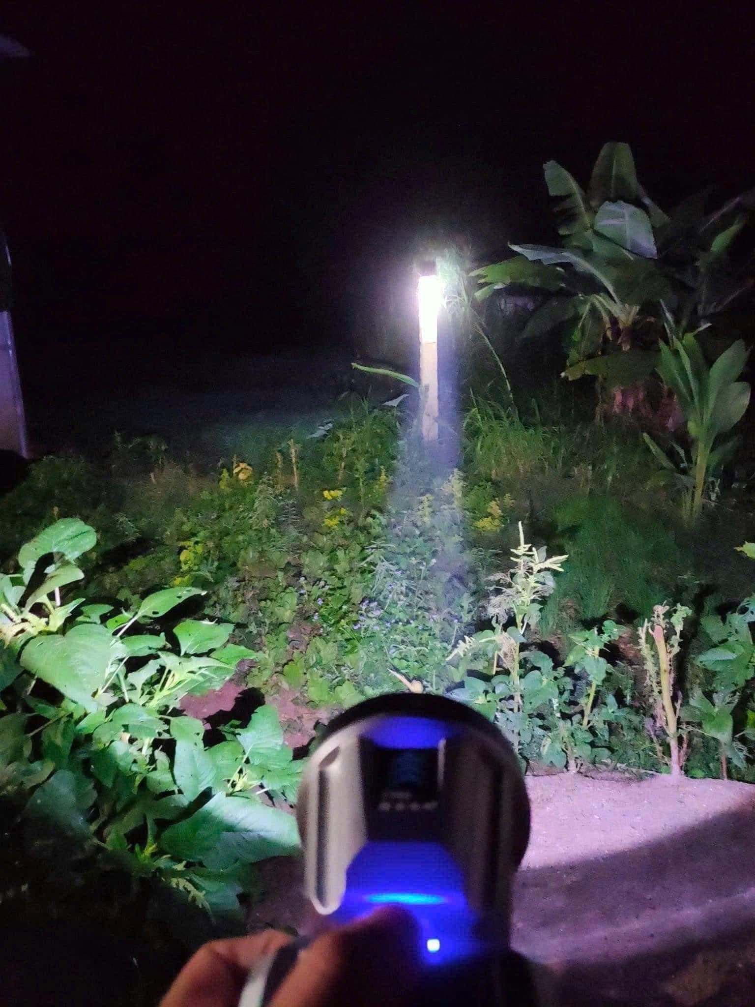 Đèn Pin Đội Đầu Siêu Sáng