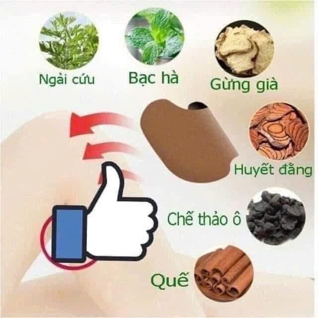 Dán ngải cứu ảnh 2
