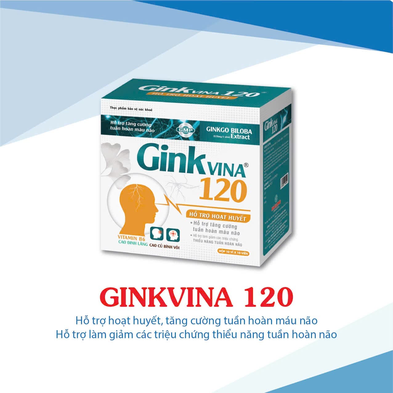 Hoạt huyết dưỡng não